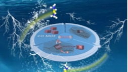 Hollow Porous CoO@Reduced Graphene Oxide Self-Supporting Flexible Membrane for High Performance Lithium-Ion Storage